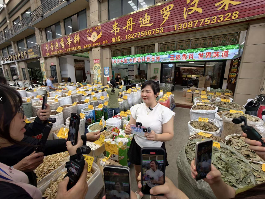 出发，看壮美广西！“开局之年看中国·共此壮美广西”网络主题宣传活动启动