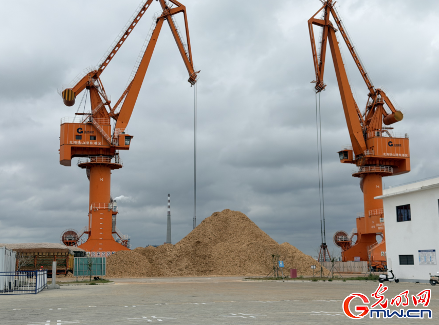 【开局之年看中国】内陆城市圆梦通江大海!广西玉林“借地建港”激活新动能 【开局之年看中国】内陆城市圆梦通江大海!广西玉林“借地建港”激活新动能