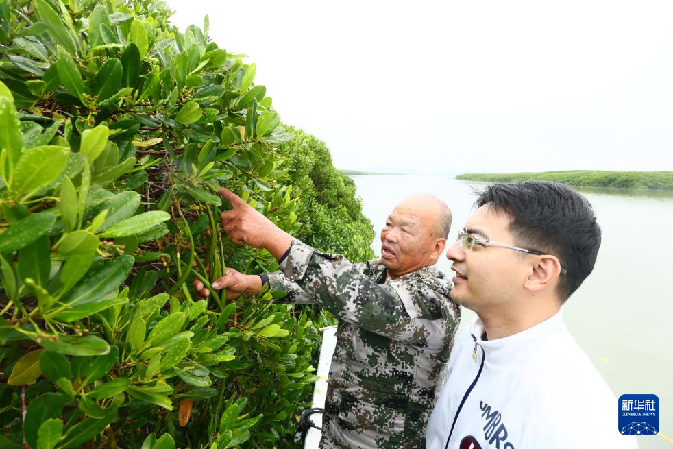 图片故事丨从讨海到守林:洛阳江上的生态摆渡人
