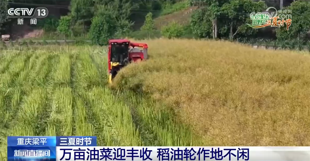 “良机+良法+良技”护航“三夏”时节 把“丰收在望”变成“丰收到手”