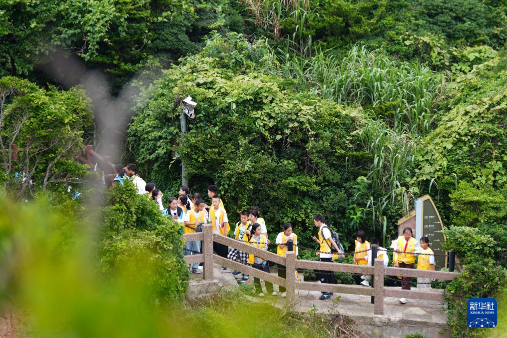 探访大陈岛