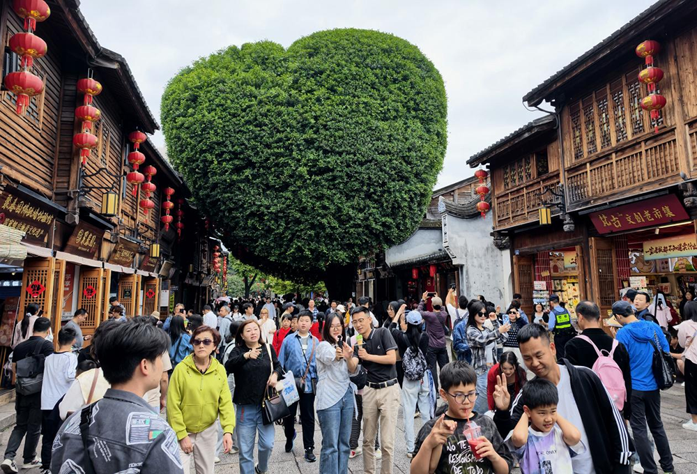 人民之心|古槐树下的问答 2026年5月5日,游客在福州三坊七巷参观游玩。