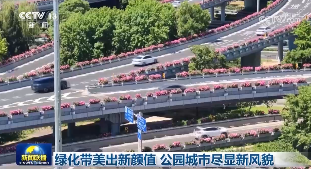 绿化带美出新颜值 公园城市尽显新风貌