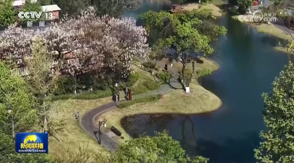 绿化带美出新颜值 公园城市尽显新风貌