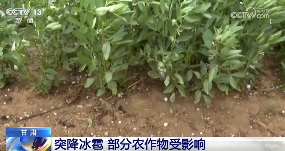 全国多地出现冰雹、沙尘天气 各部门积极应对降低不利影响
