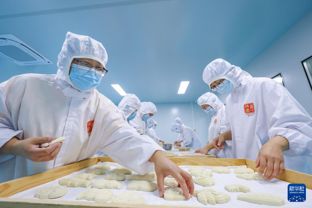 昔日碱嘎巴,如今金疙瘩——沧州旱碱麦迎来收获期