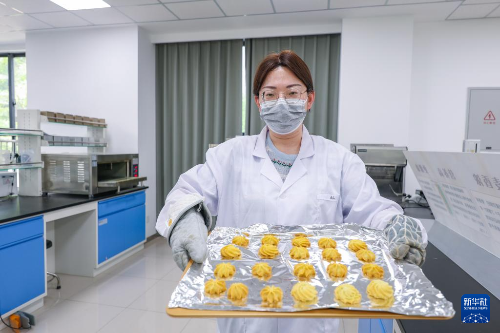 昔日碱嘎巴,如今金疙瘩——沧州旱碱麦迎来收获期