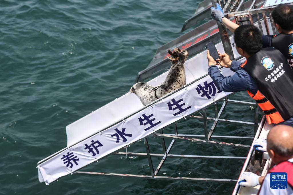镜观中国丨共守一片蓝