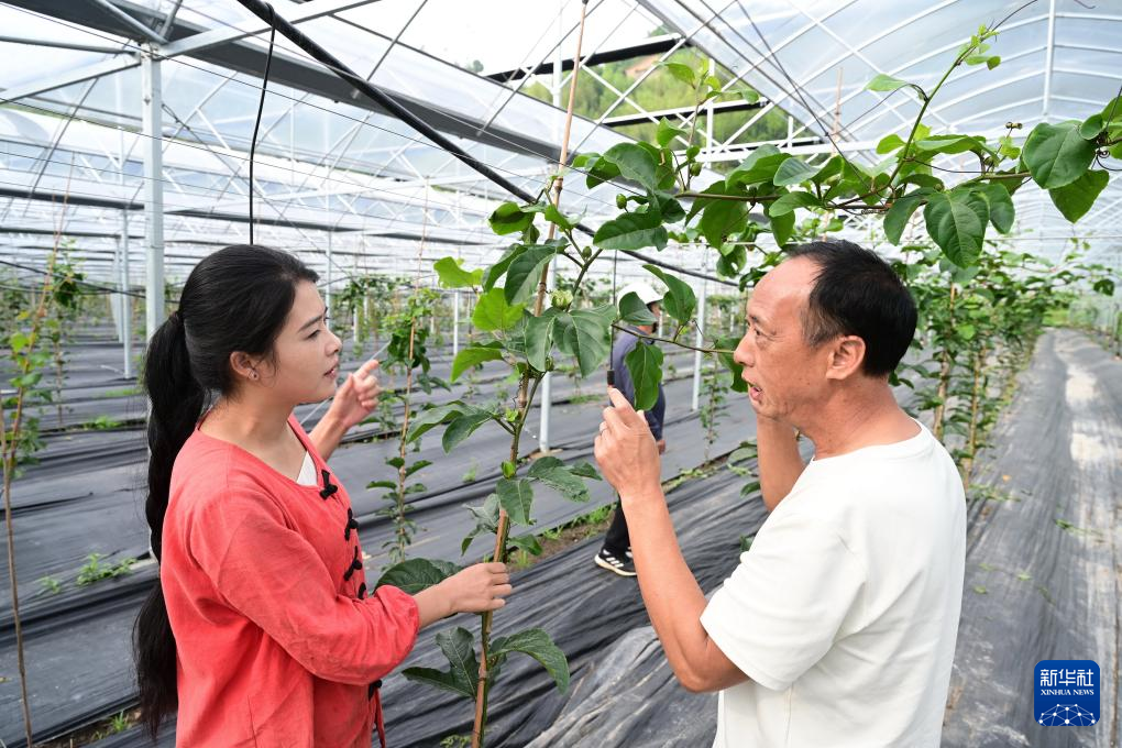 图片故事丨“90后”新农人邱桂敏:以奋斗绘就乡村振兴青春答卷