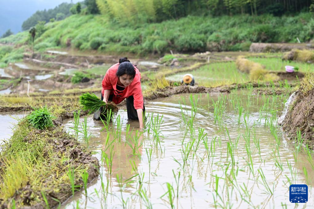 图片故事丨“90后”新农人邱桂敏:以奋斗绘就乡村振兴青春答卷