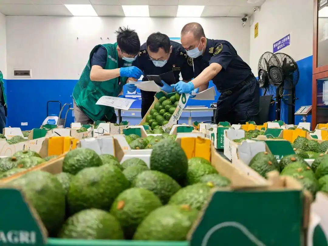 【中国那些事儿】非洲学者:零关税彰显中国开放承诺 中非合作走深走实 c8177f3e6709c93d27a075eee34e65cdd00054d9.webp