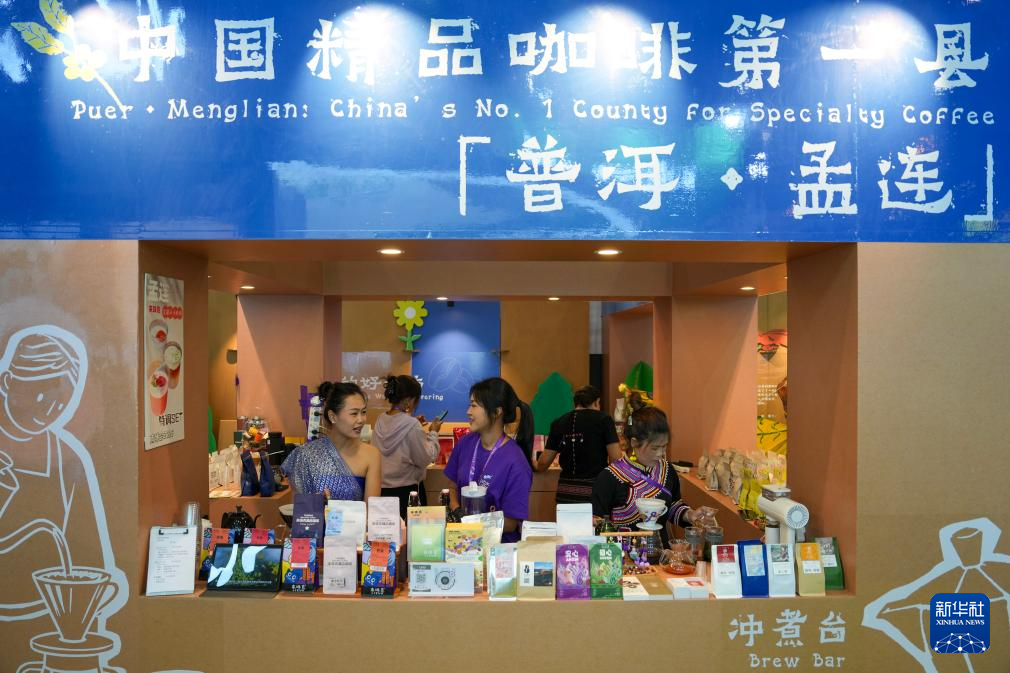 第10届中国—南亚博览会开幕