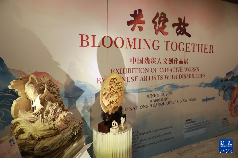 中国残疾人文创作品展在联合国举行