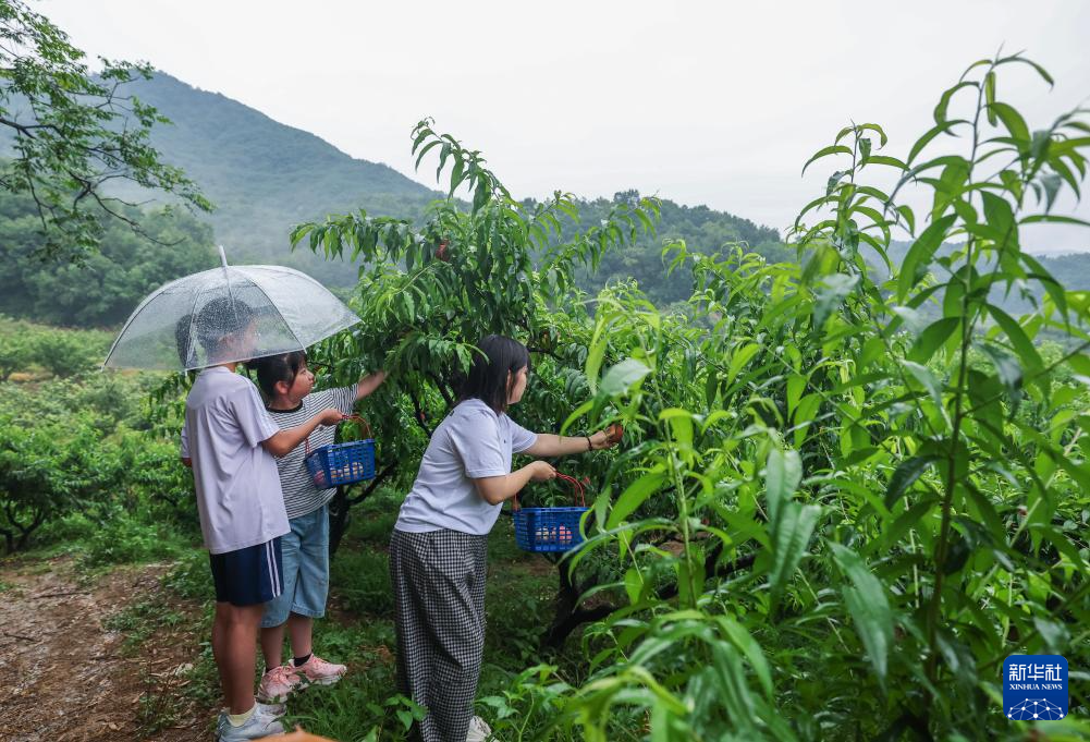 发展特色农文旅体 助力乡村振兴
