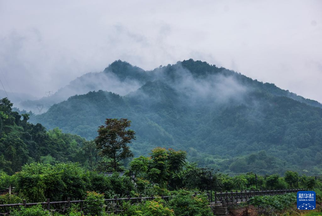 发展特色农文旅体 助力乡村振兴