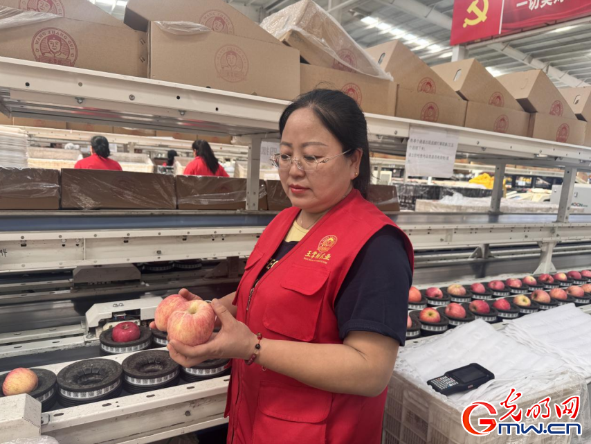 开局之年看中国|黄土高原上的“苹果掌柜” 开局之年看中国|黄土高原上的“苹果掌柜”