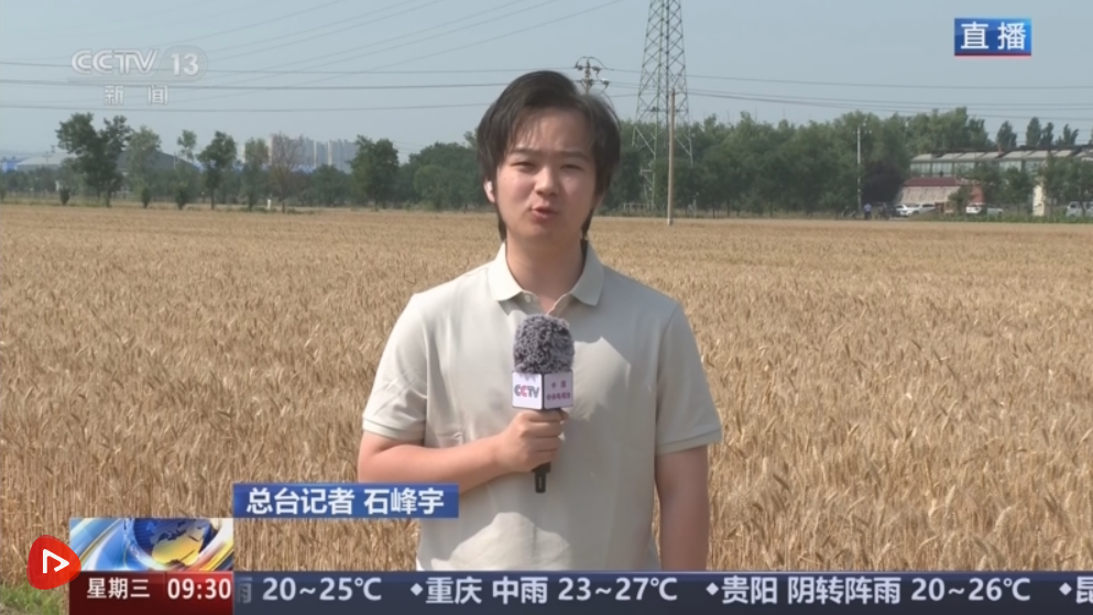 人歇机不停 和天气“赛跑” “气象预警+农机调度”打赢小麦抢收攻坚战