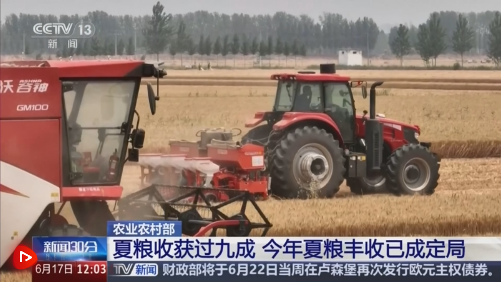 面积稳定、单产提升 今年夏粮产量形势明朗 丰收按下“确认键”