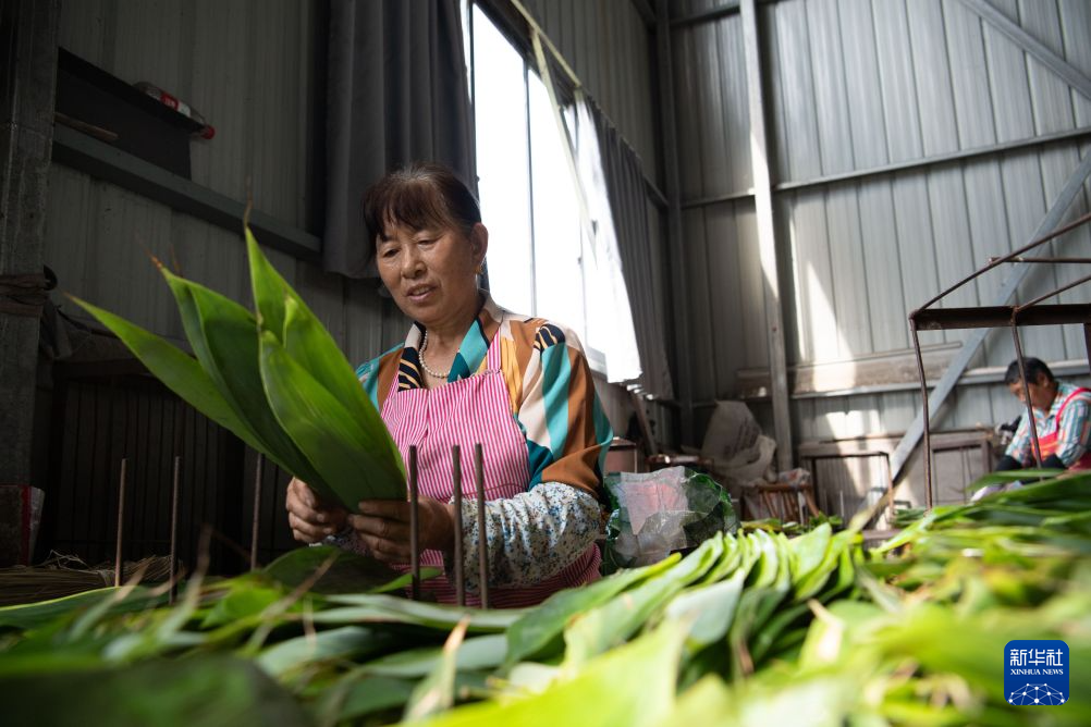 青青箬叶裹风味 缕缕粽香迎端午
