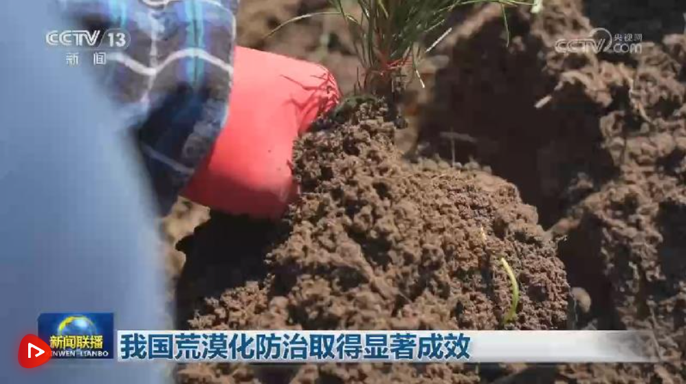 我国荒漠化防治取得显著成效