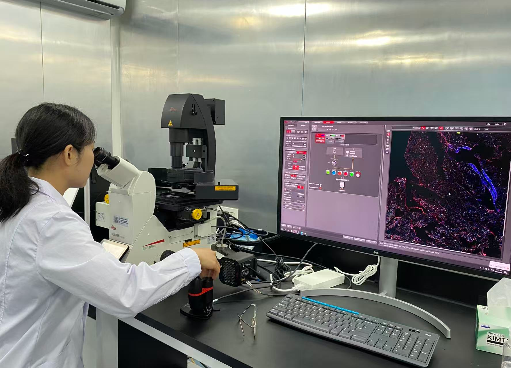 活力中国调研行|让生命“可视、可控、可创造” 南开大学全国重点实验室探访记 活力中国调研行|让生命“可视、可控、可创造” 南开大学全国重点实验室探访记