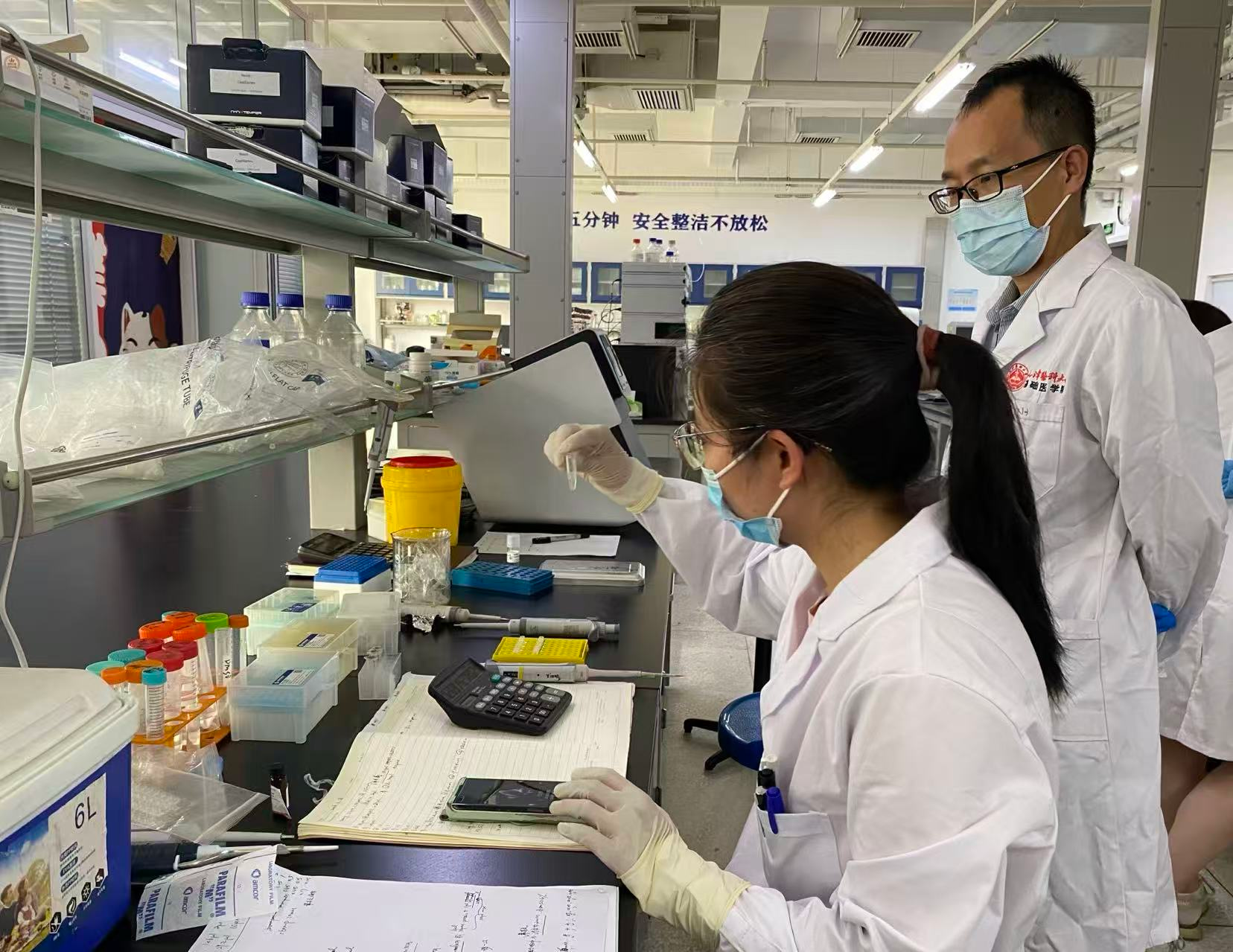 活力中国调研行|让生命“可视、可控、可创造” 南开大学全国重点实验室探访记 活力中国调研行|让生命“可视、可控、可创造” 南开大学全国重点实验室探访记