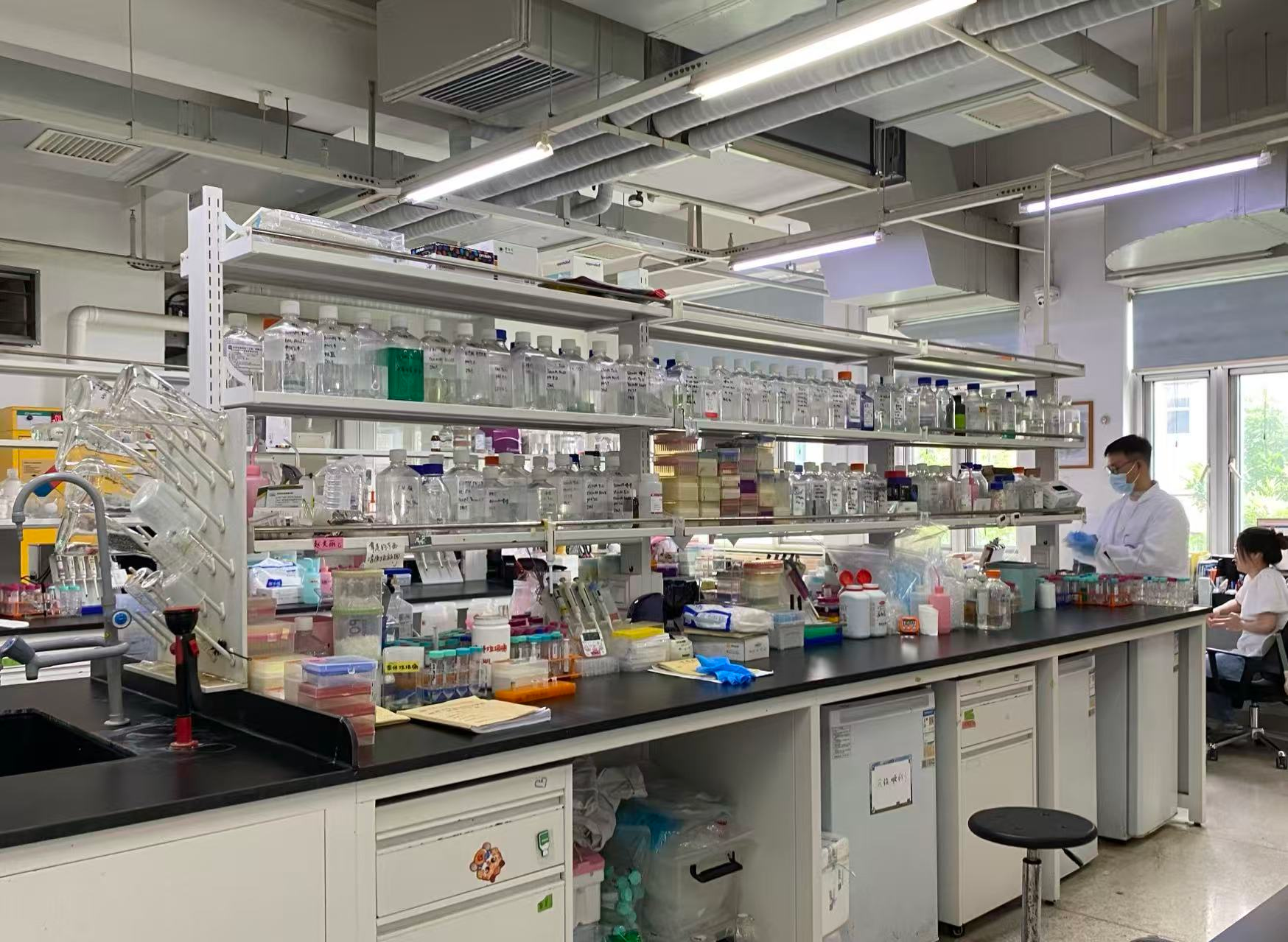 活力中国调研行|让生命“可视、可控、可创造” 南开大学全国重点实验室探访记 活力中国调研行|让生命“可视、可控、可创造” 南开大学全国重点实验室探访记