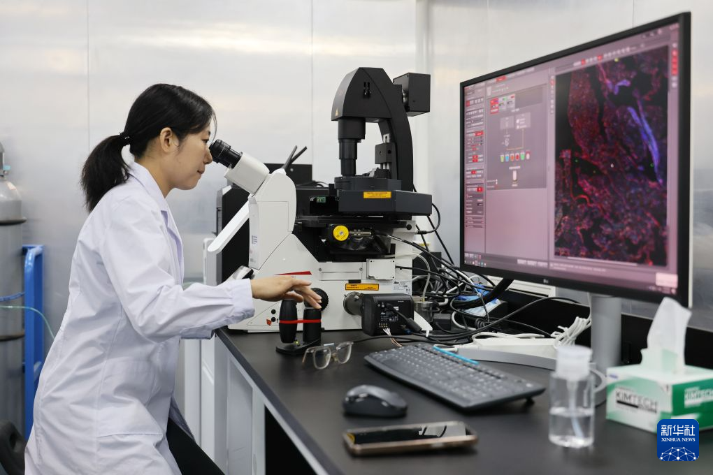 活力中国调研行丨走进药物化学生物学全国重点实验室
