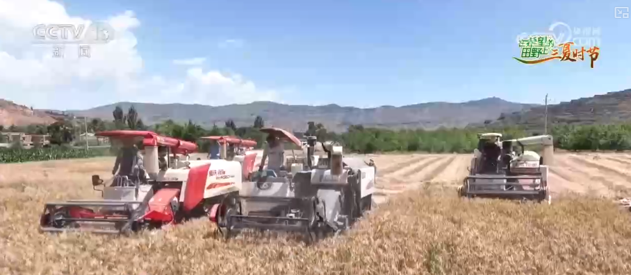 智慧“新农人”上阵服务夏管生产 夯实粮食丰产丰收基础
