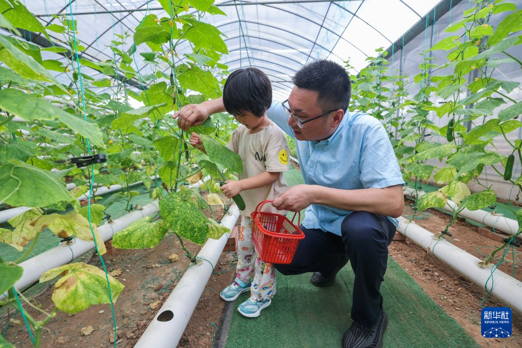浙江金华:探索智慧农业新模式 助力农业现代化