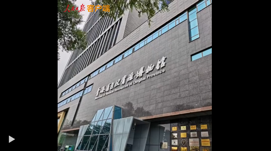 美丽中国行 | 这些高原生灵，你能认出几个？