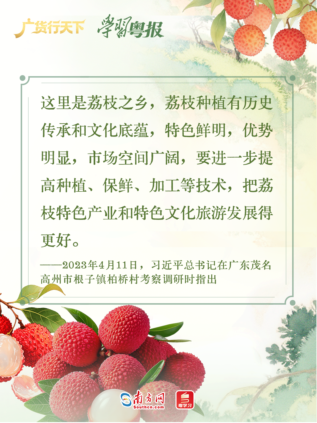 213.6亿元!减产不减收,广东荔枝销售何以逆势增长28%?