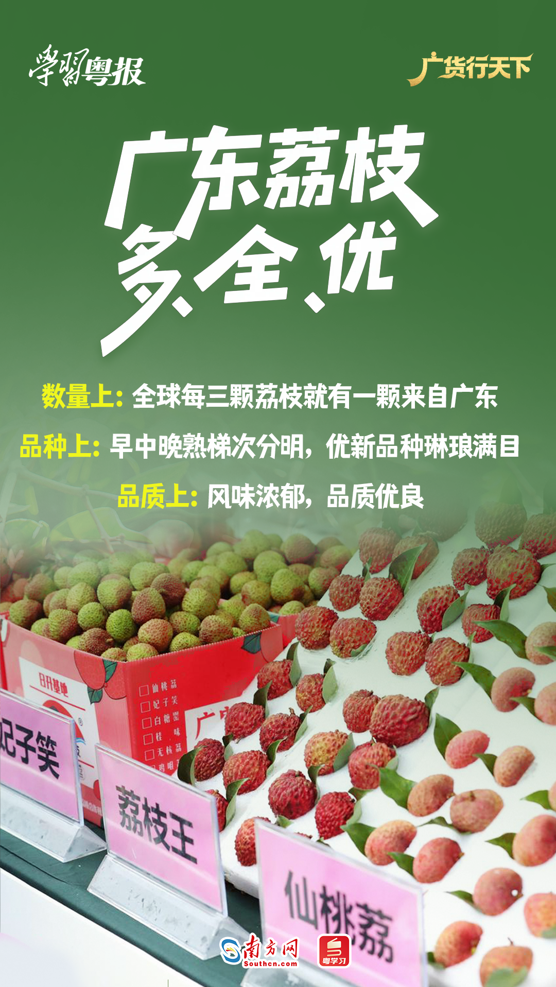 213.6亿元!减产不减收,广东荔枝销售何以逆势增长28%?