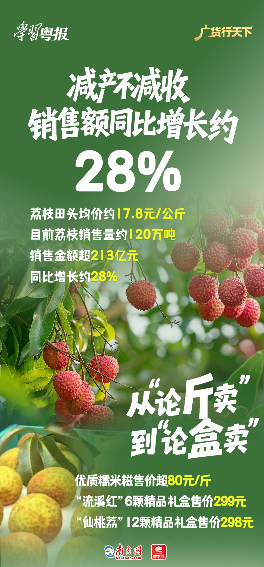 213.6亿元!减产不减收,广东荔枝销售何以逆势增长28%?