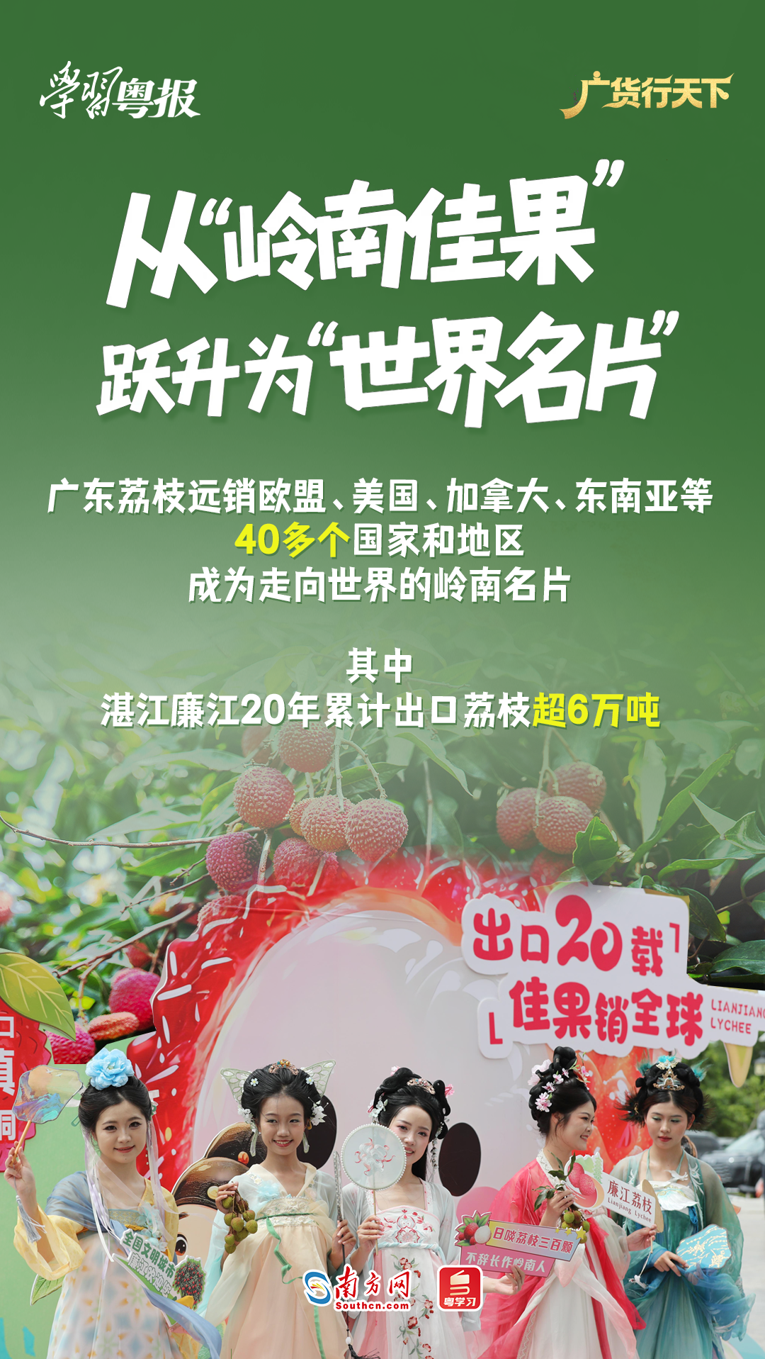 213.6亿元!减产不减收,广东荔枝销售何以逆势增长28%?