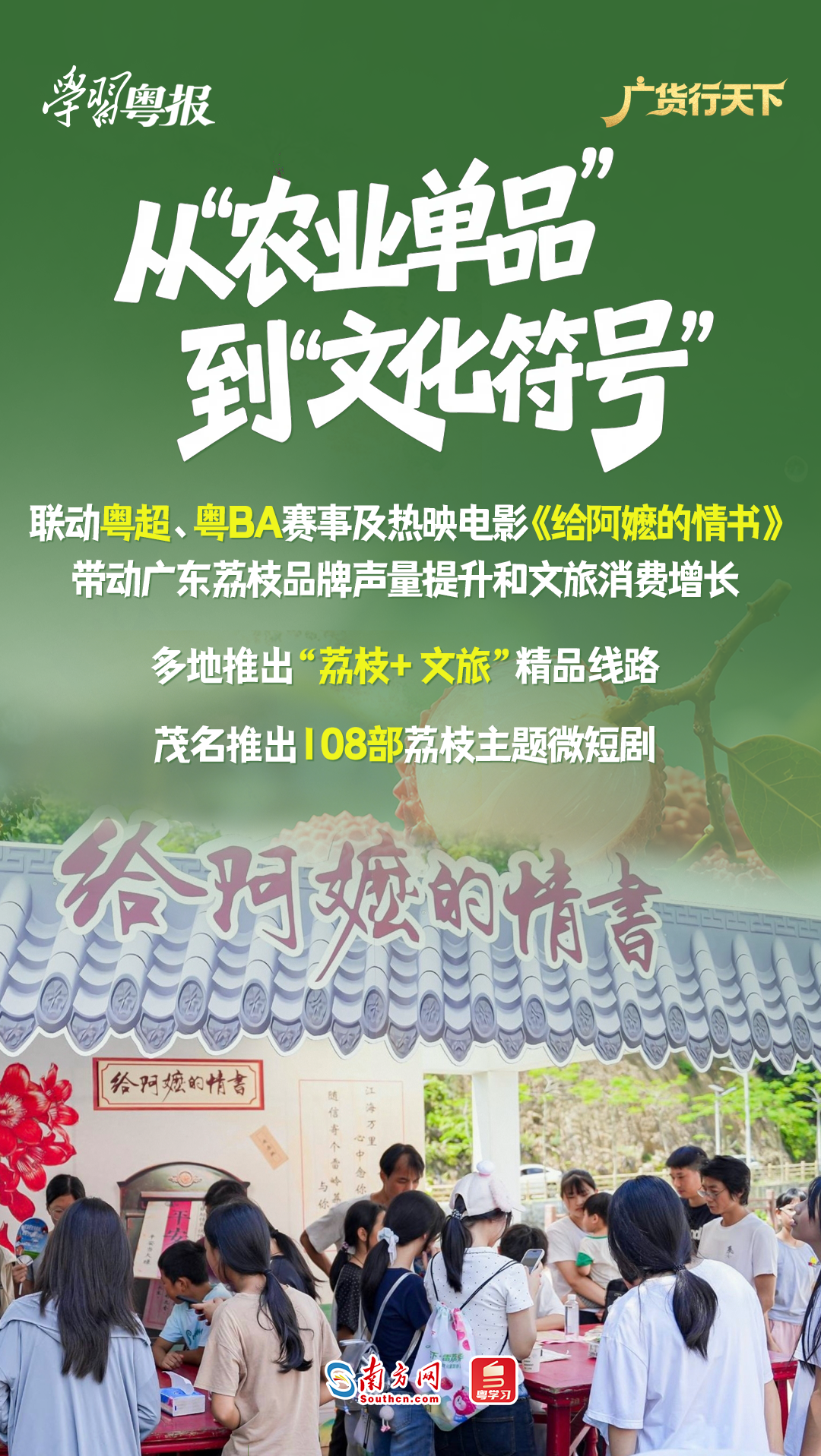 213.6亿元!减产不减收,广东荔枝销售何以逆势增长28%?