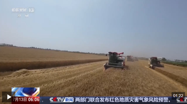 视频丨我国夏粮产量创新高 丰收的背后有哪些硬核支撑？