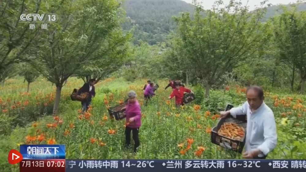 “数”看消费“新”动能、“新”亮点 消费旺季带动电商物流指数回升