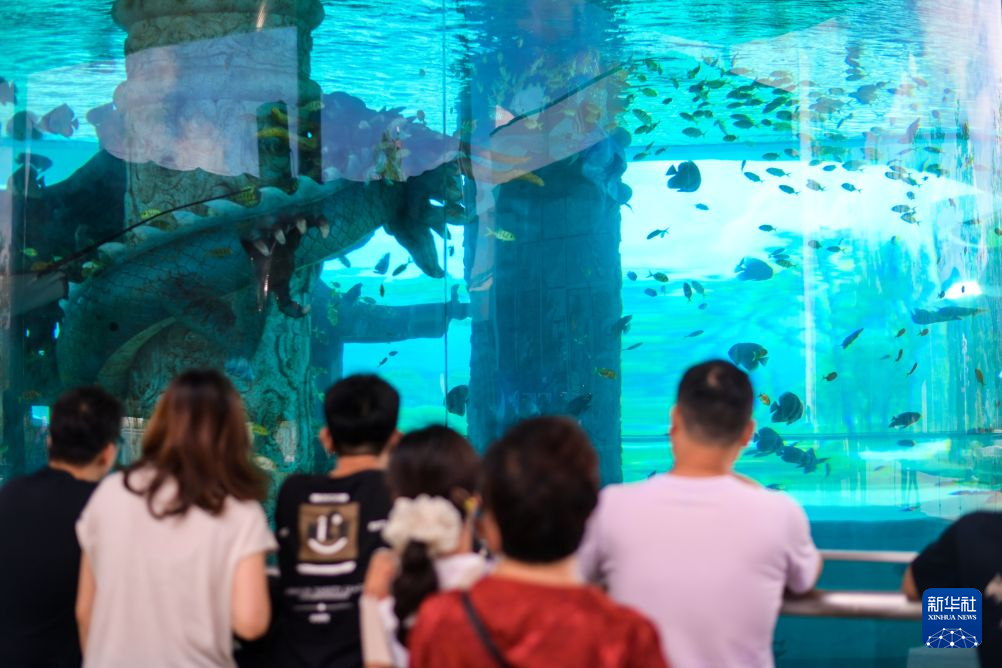 浙江桐庐:交旅融合 服务区变身“海底世界”