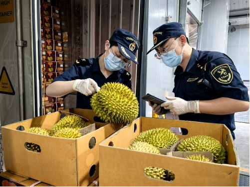 开局起步“十五五”丨海关总署:从车厘子自由到榴莲自由 扩大进口聚焦“三个优” 开局起步“十五五”丨海关总署:从车厘子自由到榴莲自由 扩大进口聚焦“三个优”