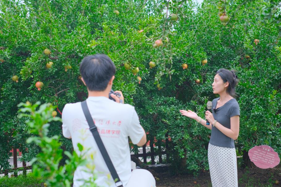 一颗石榴的“品牌之路”——中国传媒大学师生枣庄研学纪实 一颗石榴的“品牌之路”——中国传媒大学师生枣庄研学纪实