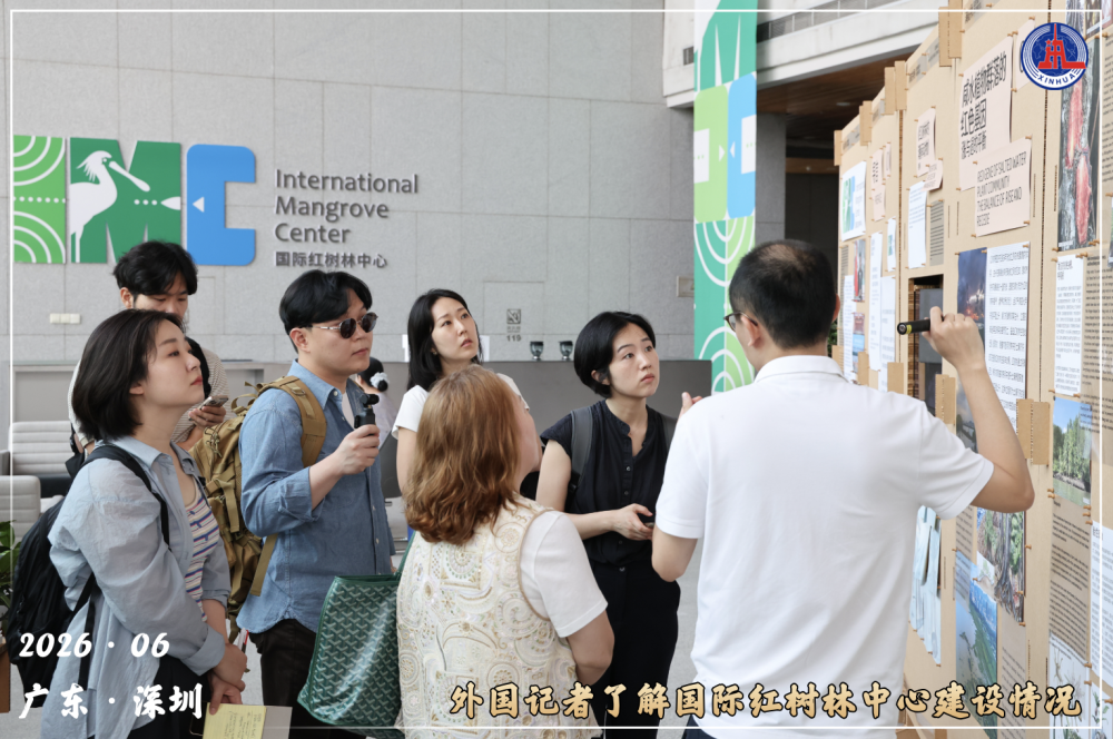 镜观·回响丨守护红树林 中国在行动