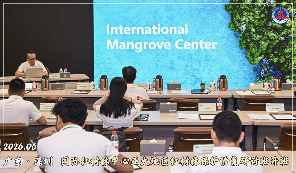 镜观·回响丨守护红树林 中国在行动