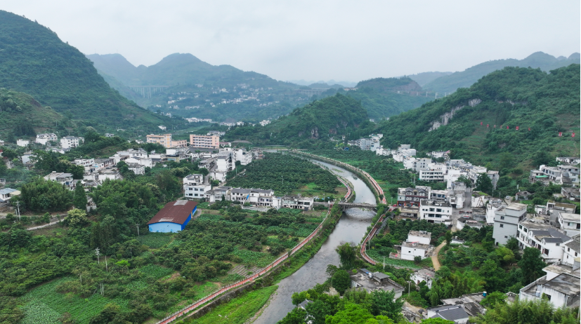 长江十年行|赤水河畔绿意浓:一江清水见证十年蝶变 长江十年行|赤水河畔绿意浓:一江清水见证十年蝶变