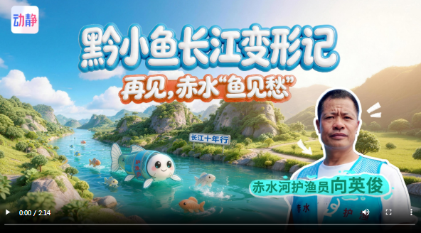长江十年行丨黔小鱼长江变形记：再见，赤水“鱼见愁”