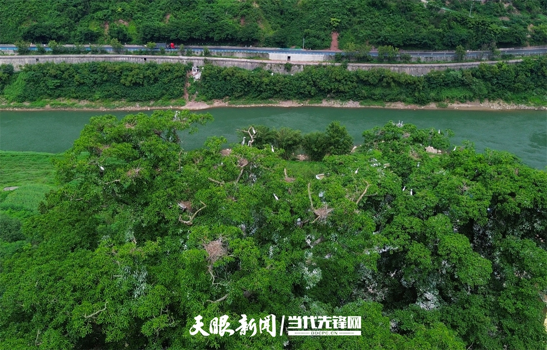 【长江十年行】赤水河渔民和他的三条船 【长江十年行】赤水河渔民和他的三条船