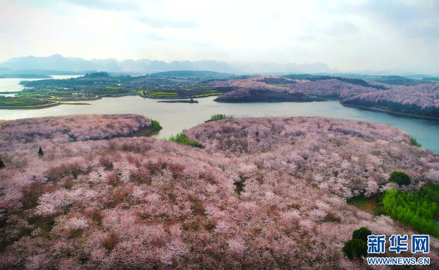 长江十年行丨长江上游“湿”意浓——走进千姿百态的贵州“水世界”