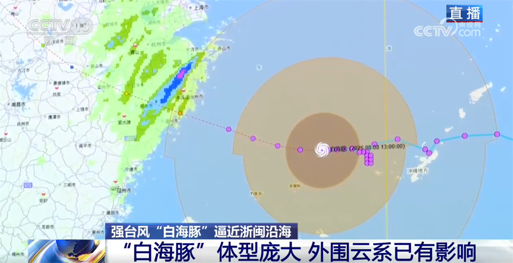 多部门“攥指成拳”调度部署防范应对“白海豚”登陆 全力以赴护民生保安全