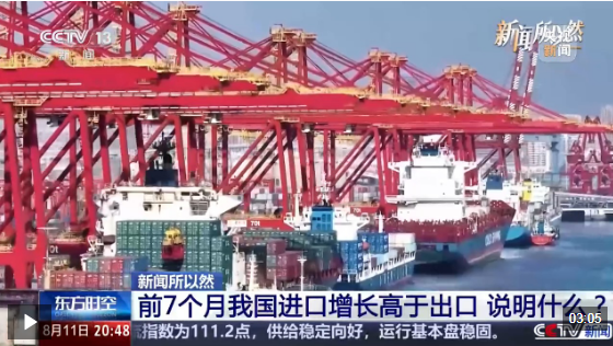 视频丨不只是“世界工厂”更是“世界市场”！上半年中国都在买什么？