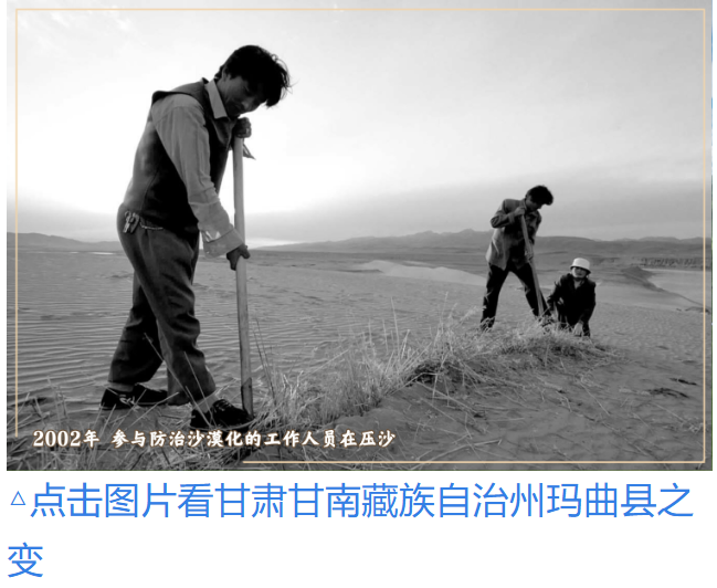 镜观·回响|九曲叠翠 黄河焕新
